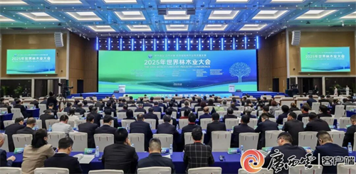 1763946590165029.png 图片1.png