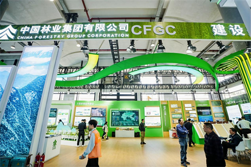 1763946654695623.png 图片6.png