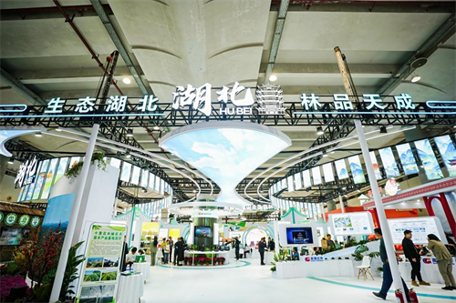 1763946760585688.png 图片11.png