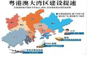 【领航的力量】顺应粤港澳大湾区 定制家具及绿色环保的行业盛宴 