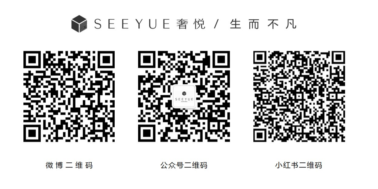 SEEYUE 奢悦丨旋转楼梯 上下的空间美学